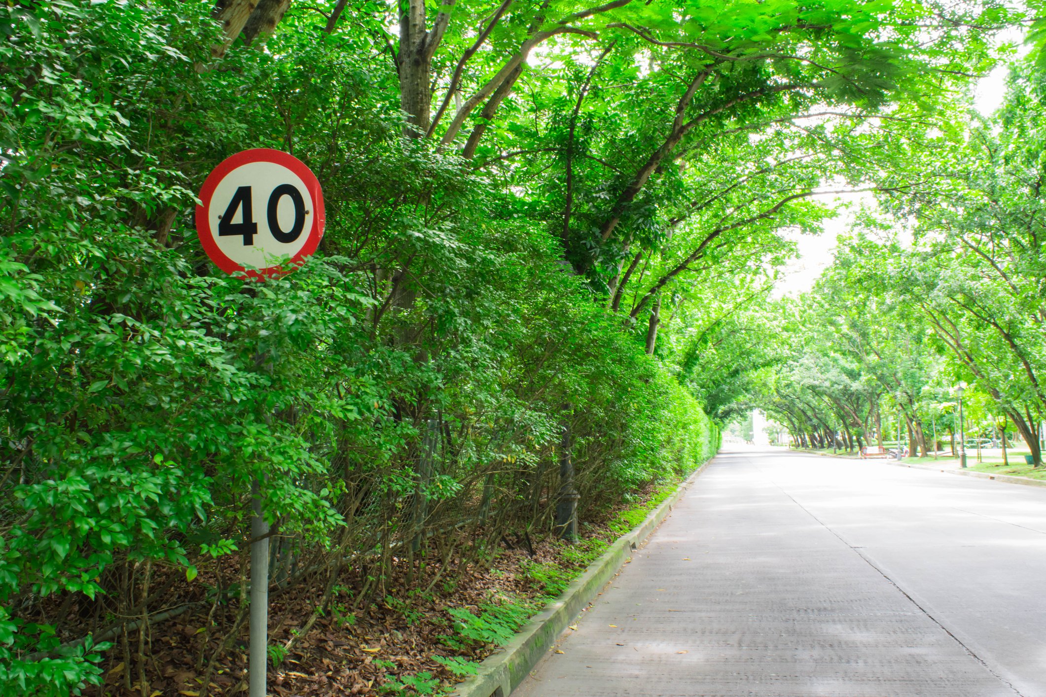 Google Maps is set to introduce a new feature that displays the speed limit on roads when using GPS navigation