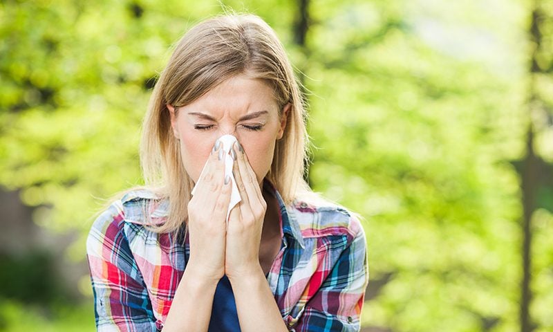 The battle against hayfever