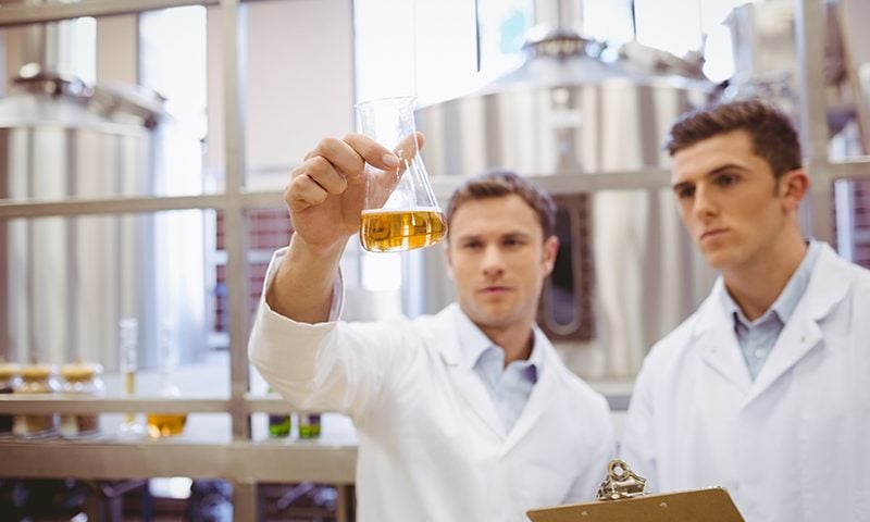 The fermentation process in beer is producing a sustainable fuel