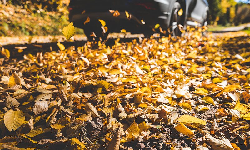 Check out our top tips for driving this autumn.