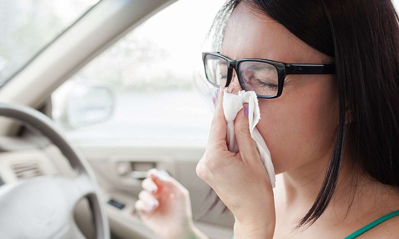 Top tips for driving with hay fever