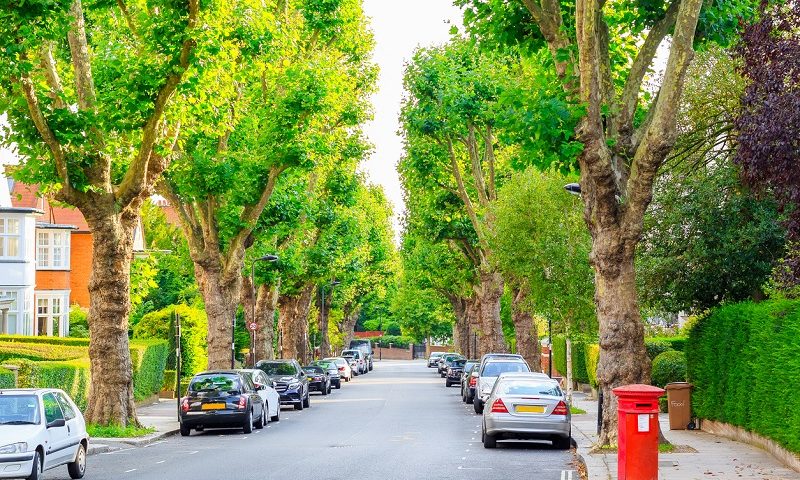 View of street lined with trees in London