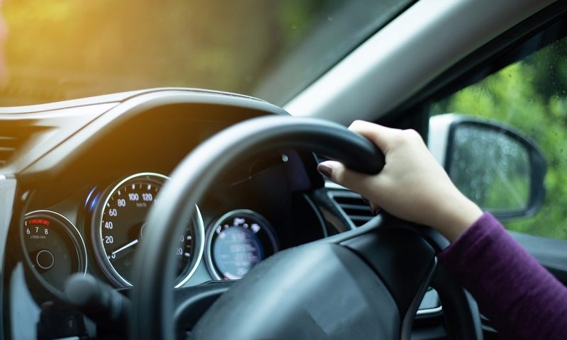 Hands on steering wheel with countryside view outside.